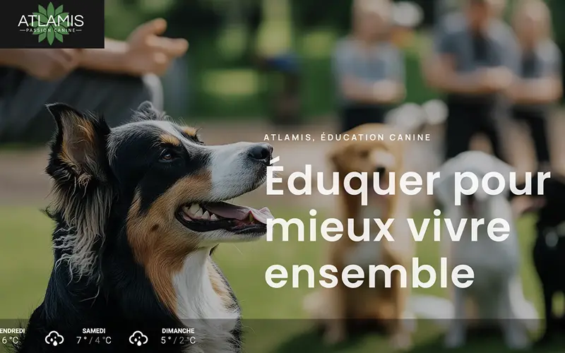 site web professionnel pour l'étude d'avocat Laurent Bosson à Bulle