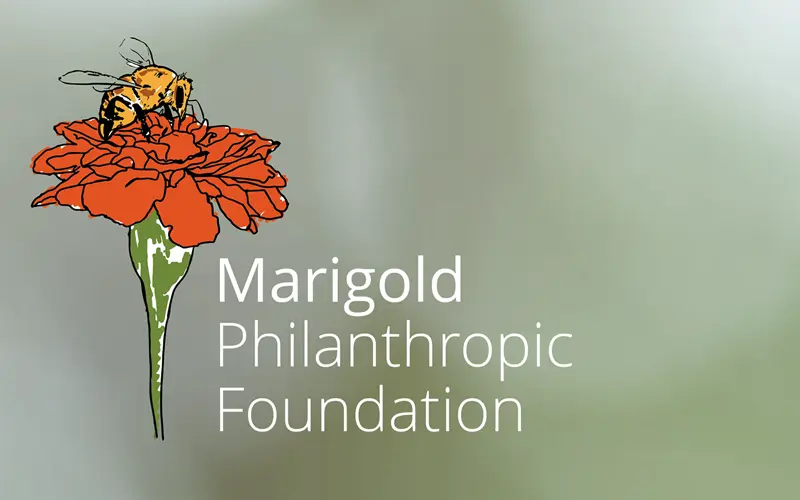 site web professionnel pour l'hôtel des sapins aux pléiades